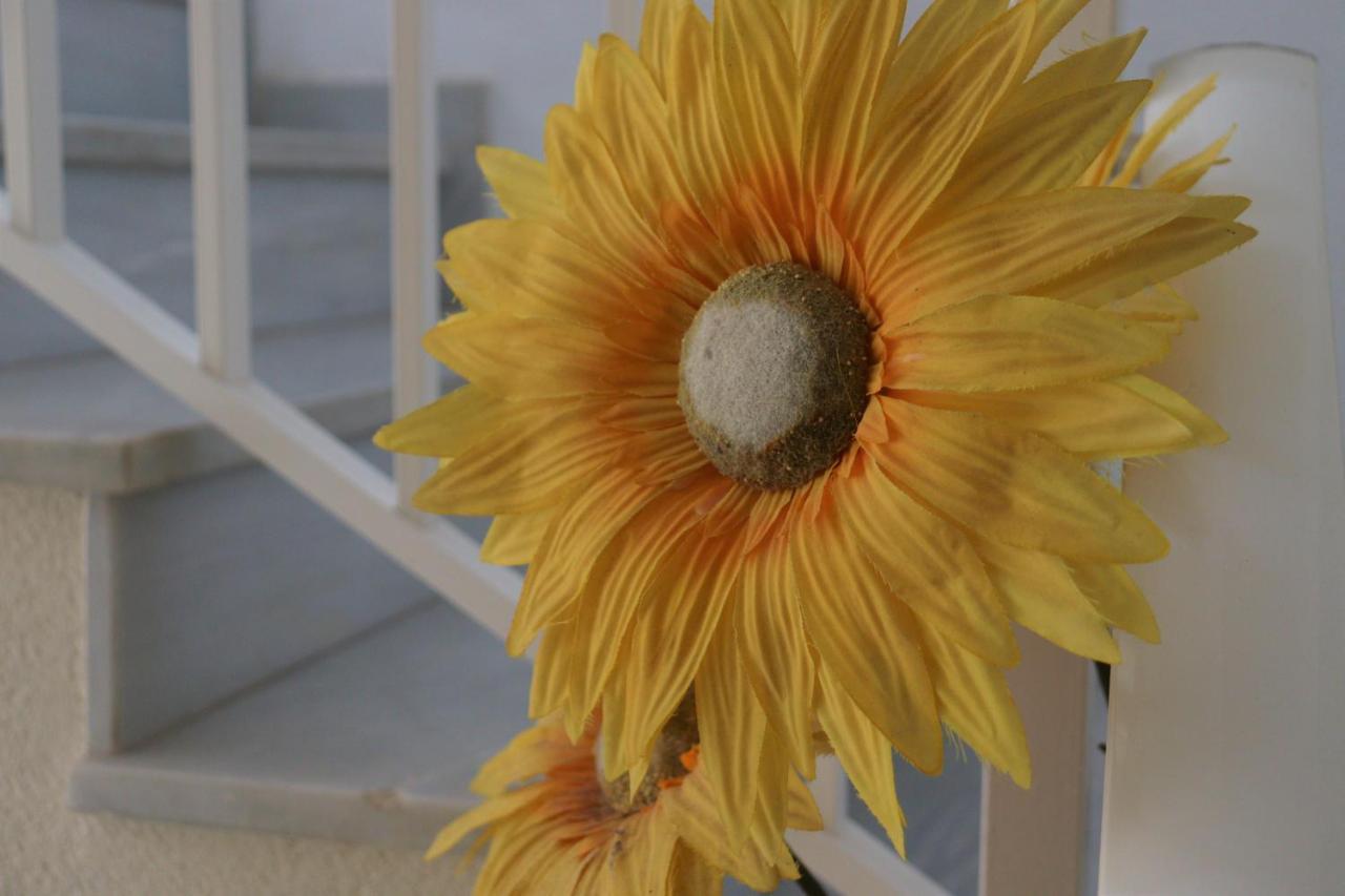 לה מנגה דל מר מנור Apto. Villa Cristal Playa מראה חיצוני תמונה